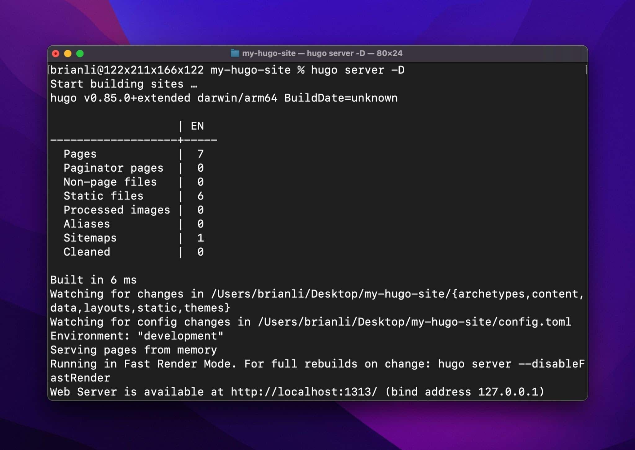 Hugo local development server.