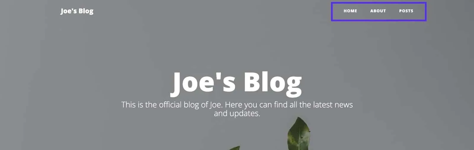 Fully customized nav bar